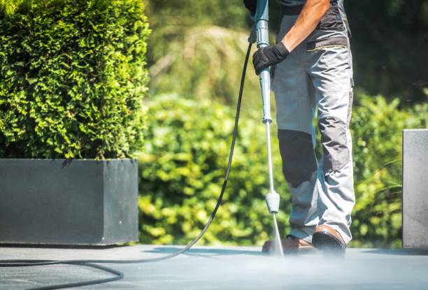 Solar Panel Cleaning in Phillipsburg, NJ