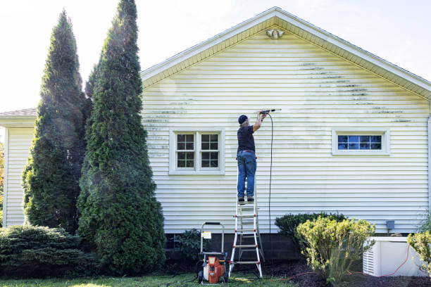 Best Driveway Pressure Washing  in Phillipsburg, NJ